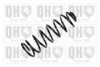 QUINTON HAZELL QCS8253 Coil Spring